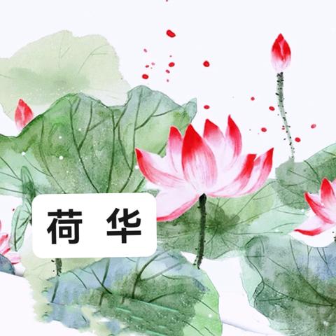 “荷华轻舞，成长有声” 右江区龙景第四小学2022级4班（荷华班）风采展