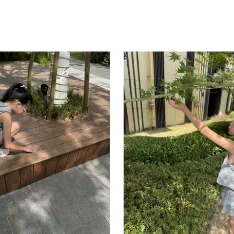 大自然中的那一抹绿叶