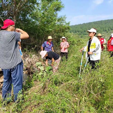 保护耕地，助力乡村振兴，保护粮食安全