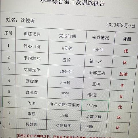 清大全脑开发8月9日小学综合训练汇报