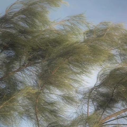 重人科学子三下乡：根植文化底蕴，发展红薯产业