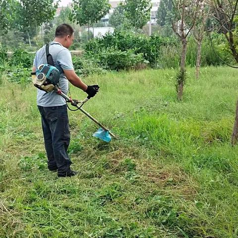 孟州市化工镇人居环境整治持续"升温"