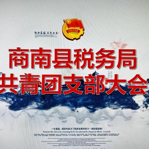 接力新征程，税月正青春——商南县税务局圆满完成团支部换届选举工作