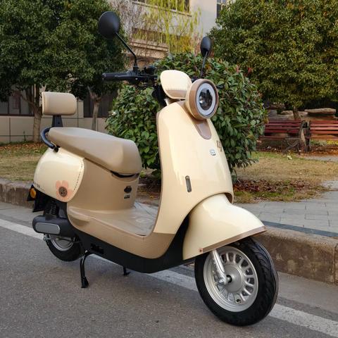 国威电动车…米瑞三代（M）