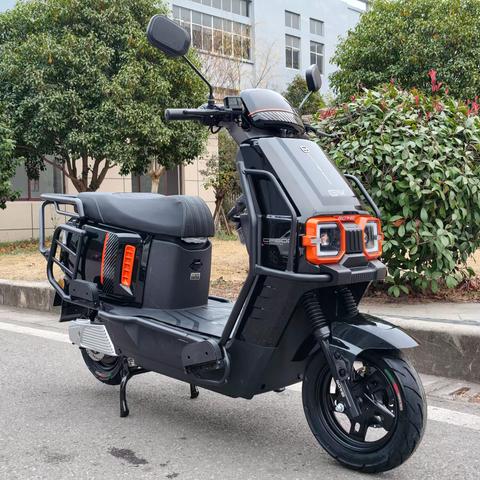 国威电动车…CP600-B