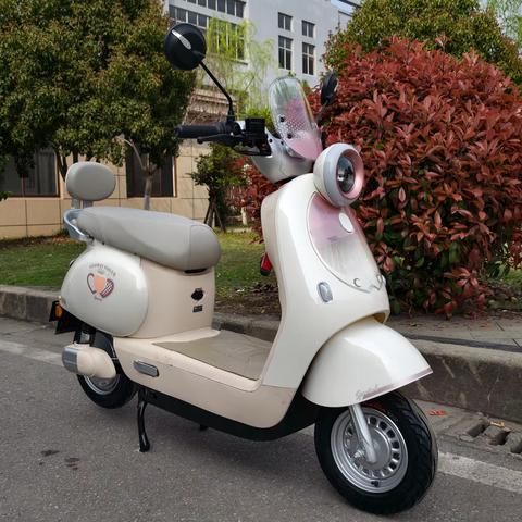 国威电动车…悦爱