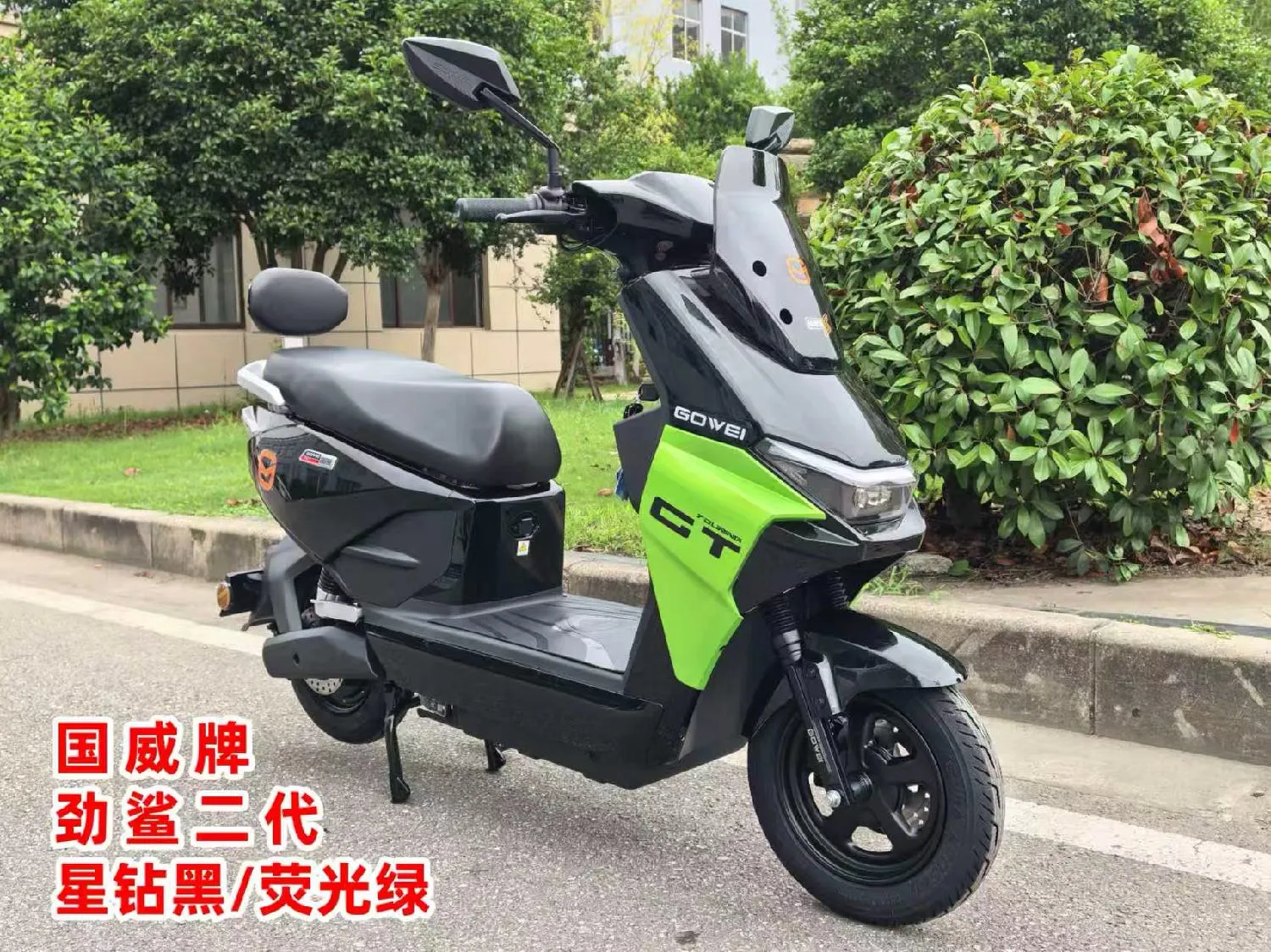 Jingsha II Stardust Black Fluorescent Green