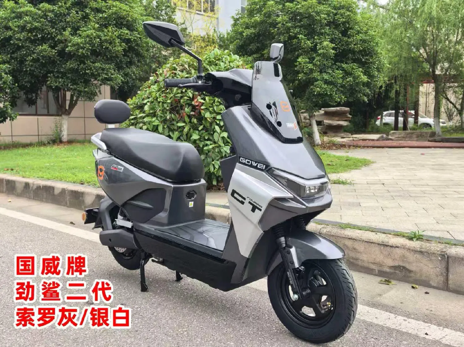 Jingsha II Soro Gray Silver White