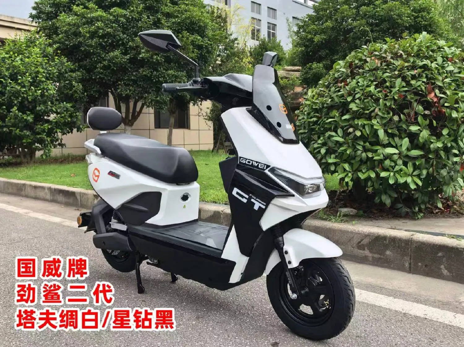 Jingsha II Taffeta White Stardust Black