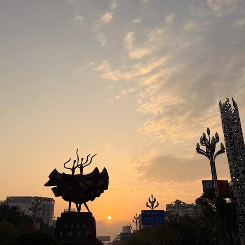 州文旅产业促进会冕宁油橄榄基地考察