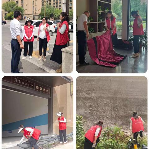 “红色传承映初心，党旗飘扬在一线” 杜城街道宸韵社区党支部8月主题党日活动