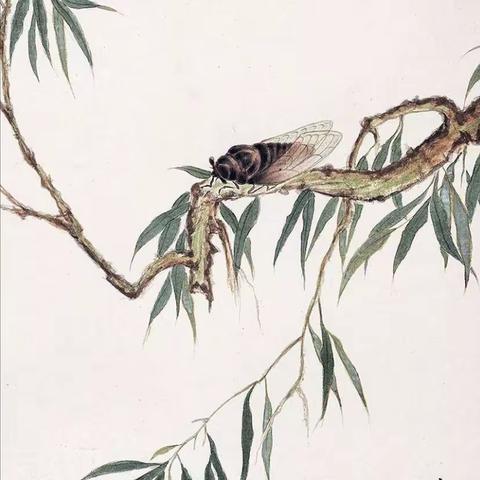 2023.8.12三伏天听蝉