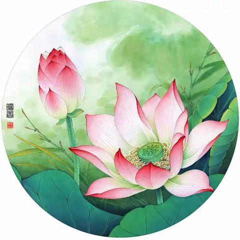 2023.8.20三伏蝉趣