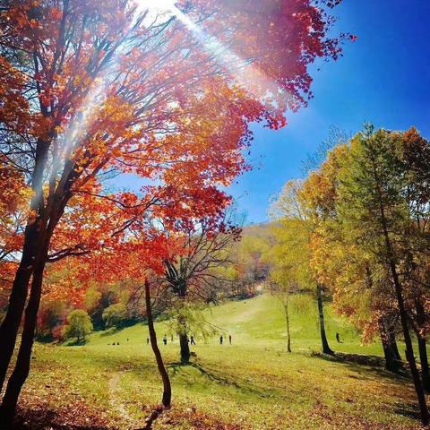 秋日学子踏上新征程