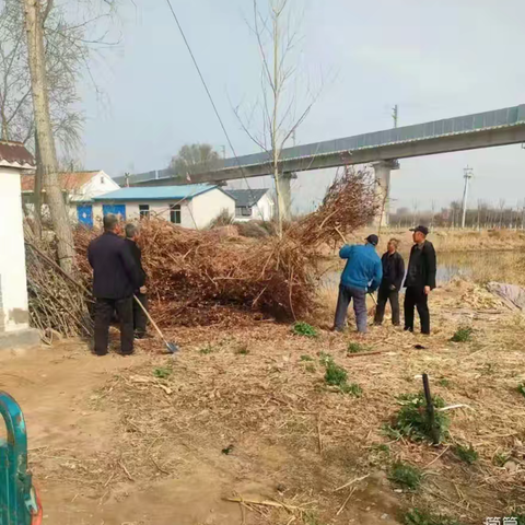 提升村居环境卫生