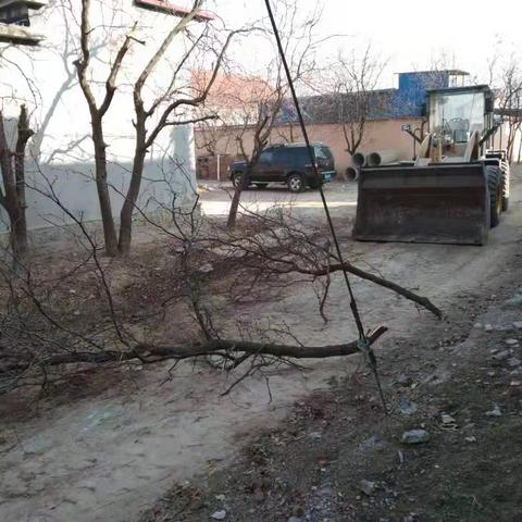 提升村居环境卫生