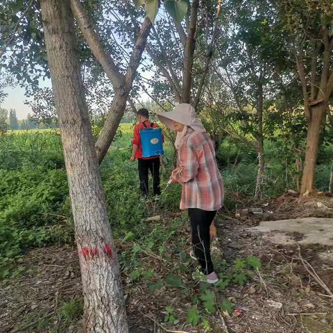 绿化消杀除农害