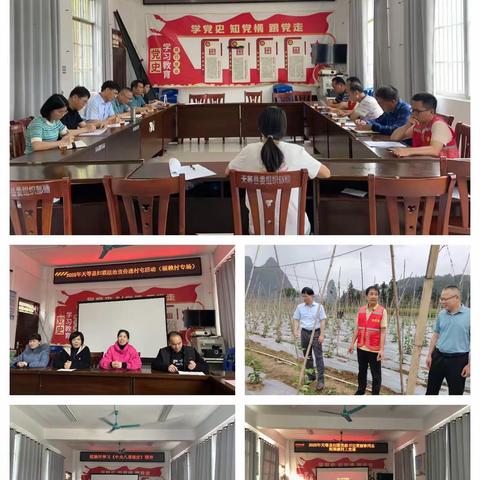 党建引航激活力，实干担当促振兴. 2025年近期工作小结