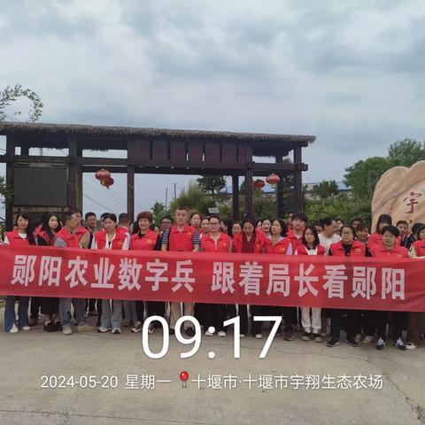 湖北郧阳农业数字兵 跟着局长看郧阳暨郧阳电商直播带货走进柳陂镇记实！