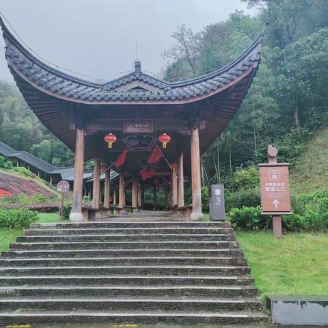 游羊狮幕