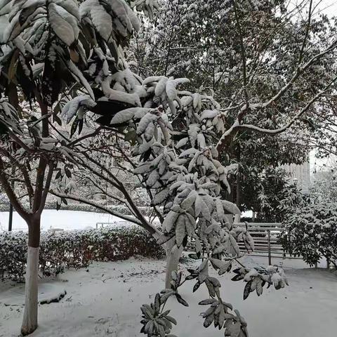 中国工商银行芜湖南瑞支行清扫积雪、保障安全