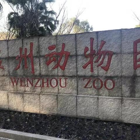 一次难忘的游玩——蔡美伊