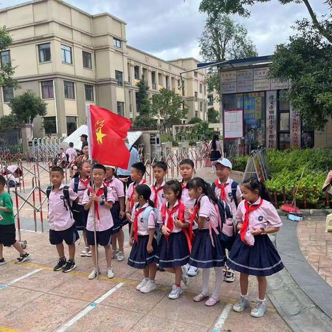 红领巾假日活动——学习交通安全