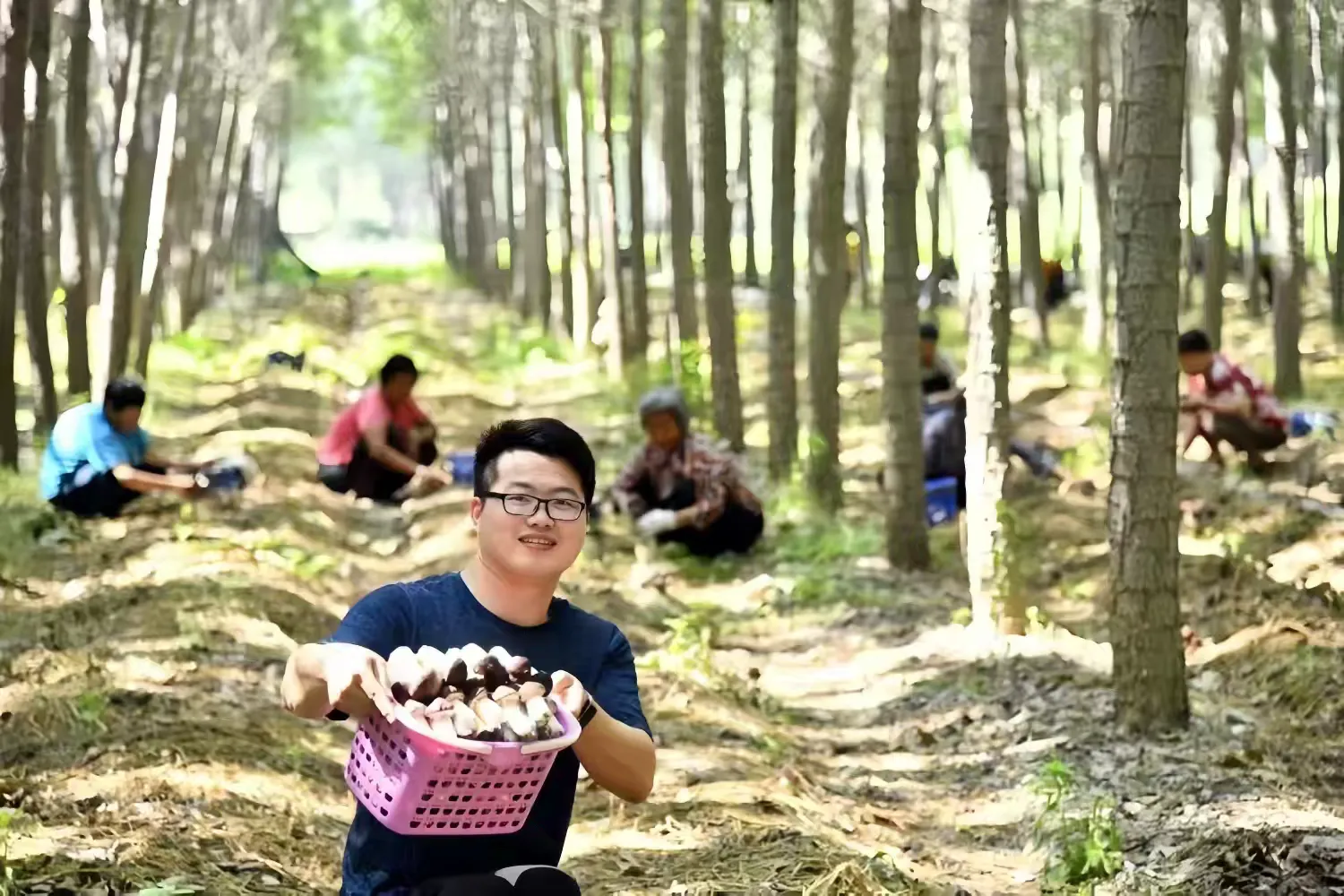 简篇-章丘:片区织美景,乡村气象新