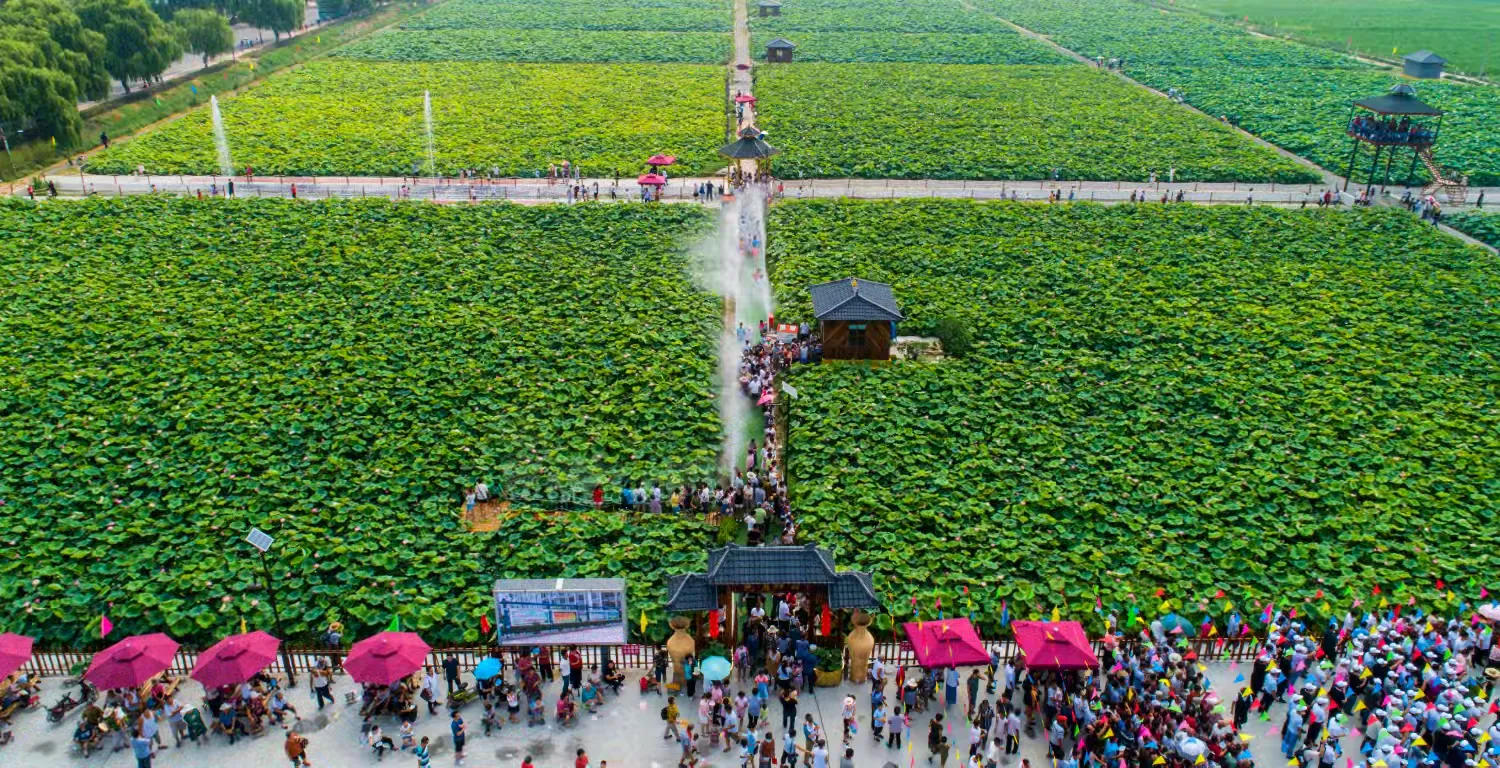 简篇-章丘:片区织美景,乡村气象新