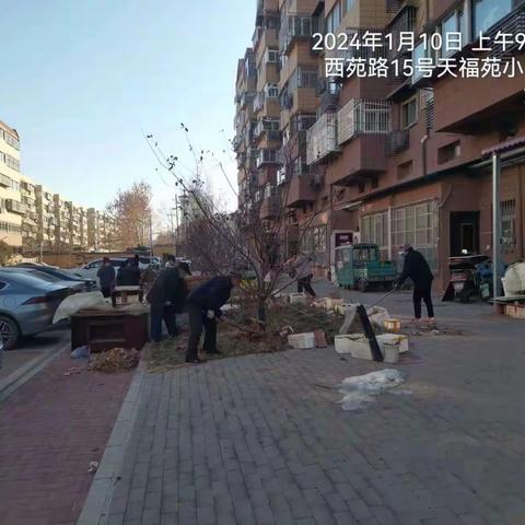 共创美丽家园：枯草清理，社区大扫除
