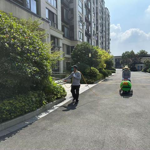 横街镇庄溪家园登革热应急工作情况汇总2023.8.10