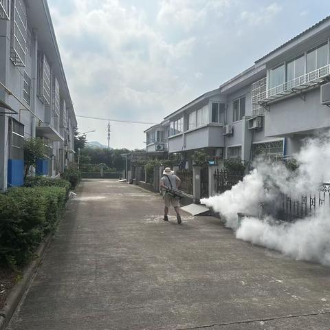 横街镇庄溪家园登革热应急工作情况汇总2023.8.11
