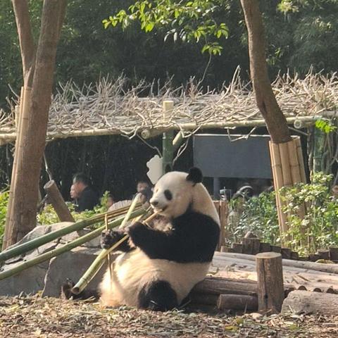 中共中央总书记、国家主席、中央军委主席习近平在中国共产党第二十届中央纪律检查委员会第二次全体会议上发表重要讲话