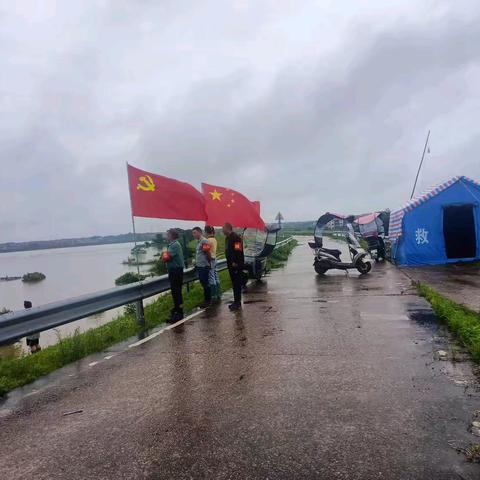 携手防汛，守护家园——饶埠镇张家村防汛工作纪实