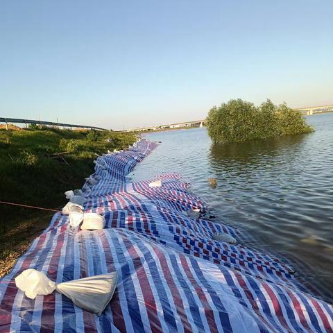 《夯实抗洪成果，接力铸成新的长城——饶埠镇张家村防汛工作纪实2》