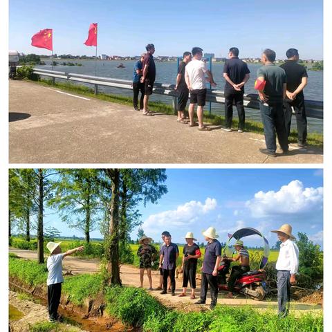 众志成城固防线，爱心汇聚暖人心——饶埠镇张家村防汛纪实3