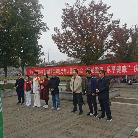 南郑区梁山镇政府南郑区老年人体育协会“运动重阳，乐享健康”庆“重阳节”主题活动