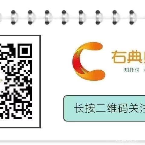 她力量，绽芳华