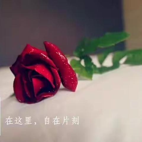 “60后”相亲局，清醒惹人“爱”