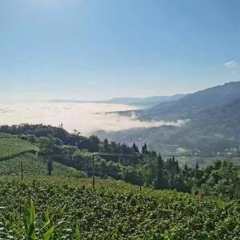 2023年8月利川和朋友游黄流留影