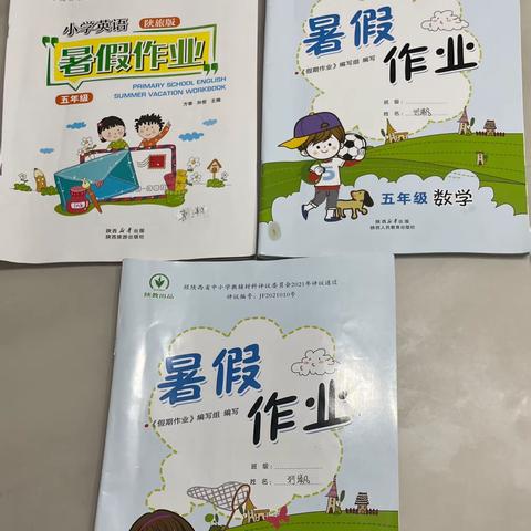 清凉一夏，“暑”你最棒——我是土官小学五年级二班刘泽凡