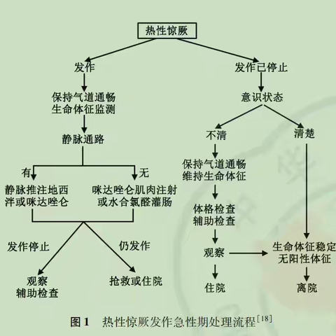 小儿高热惊厥如何处置