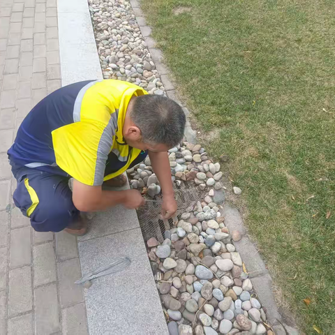 湖滨花园项目八月月报