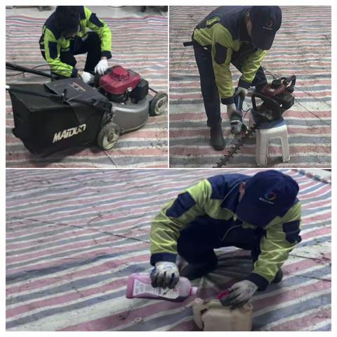 湖滨花园项目十月月报