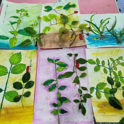 周六上午五级班《植物写生》