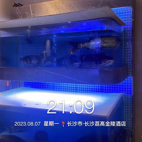 二楼安检