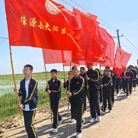 “稻香研学行 劳动育成长”—— 肇源县大兴乡学校走进鲶鱼沟实业集团稻田基地研学实践