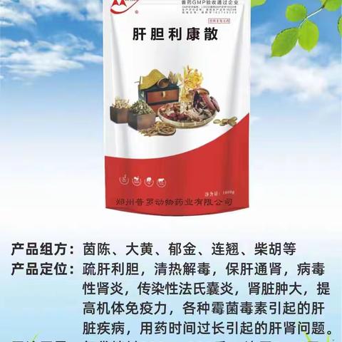 养禽就是养肝肾