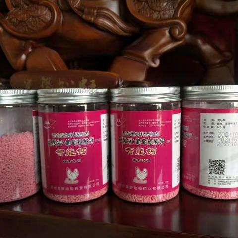 蛋鸡产蛋后期如何补钙？