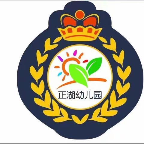 正湖幼儿园庆元旦“小小童盟军”国防亲子运动会